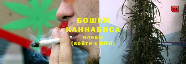 spice Аркадак