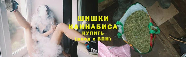 spice Аркадак