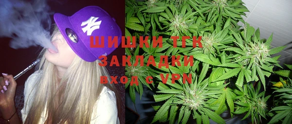 spice Аркадак