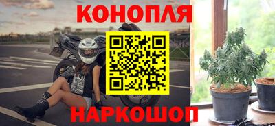 прущие грибы Заволжье