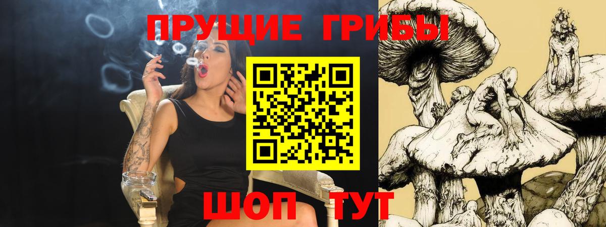 Псилоцибиновые грибы прущие грибы Миасс