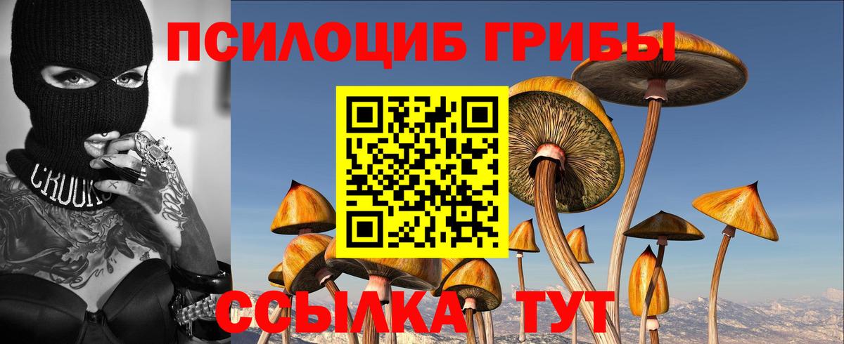 Псилоцибиновые грибы MAGIC MUSHROOMS  Вход с VPN  Миасс 